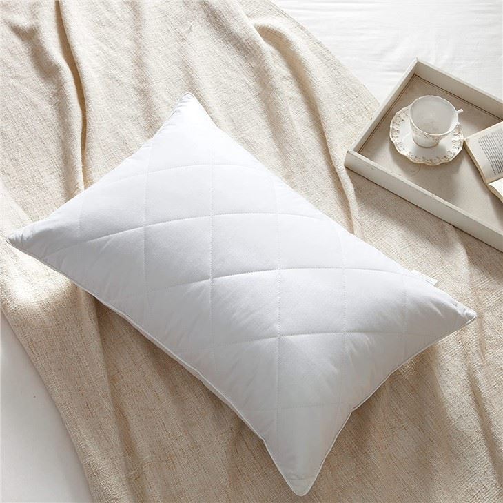 Goose Feather Pillows